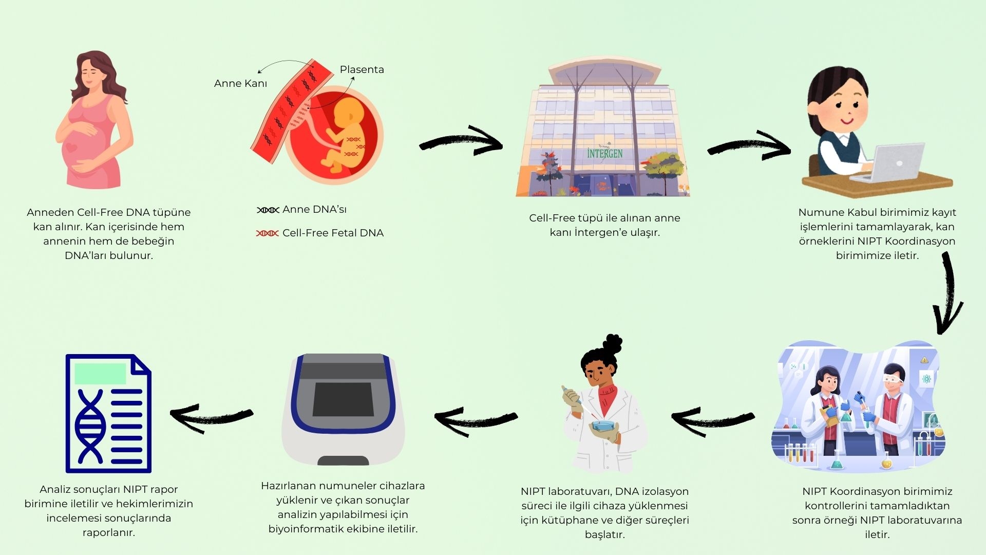 NIPT örnek akış diyagramı