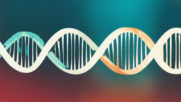 Tümör Mutasyon Yükü Paneli